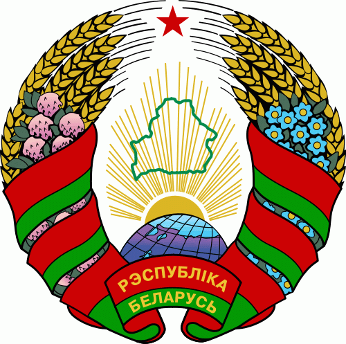 Belarus 19-Pres Secondary Logo iron on heat transfer